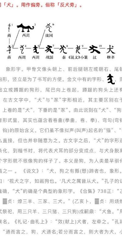 猜为什么反犬旁和动物有关（猜字反犬旁是什么意思）