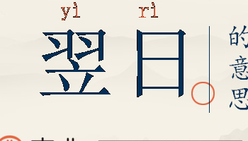 翌日的意思(翌日是什么意思？)