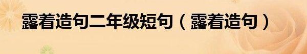 露着写一个句子（露着写一个句子二年级上册）