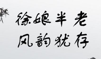 有人说你是半老徐娘怎么回怼（半老徐娘是不是成语）