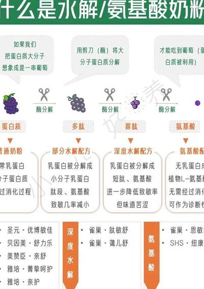 什么是水解奶粉（什么是水解奶粉和氨基酸奶粉）