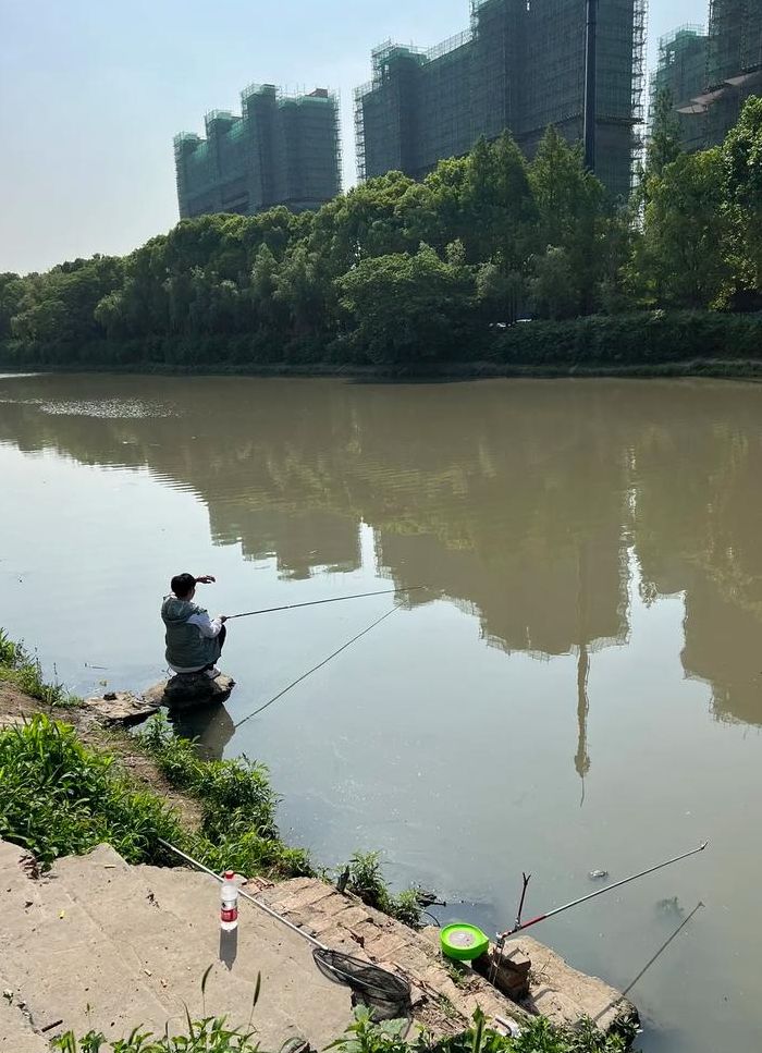 上海钓鱼论坛(钓鱼论坛哪个最好？)