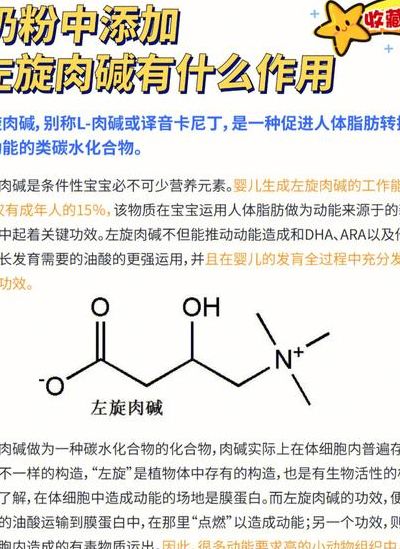 左旋肉碱是干啥的（左旋肉碱是什么意思）