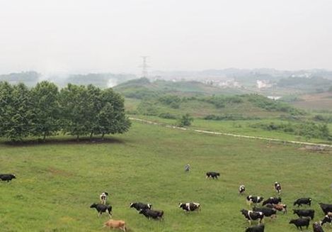 歙县练江牧场（歙县练江牧场门票多少）