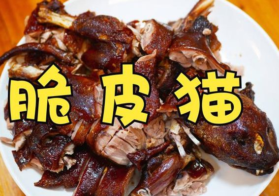 猫肉的做法（猫肉的做法及配料）