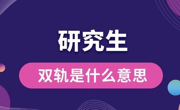 双轨现在叫什么意思（双轨现在叫什么意思啊）