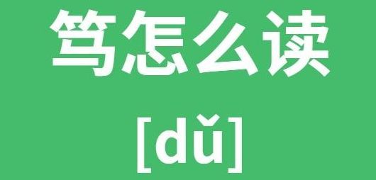 笃怎么读拼音是什么意思（笃怎么读,什么意思）