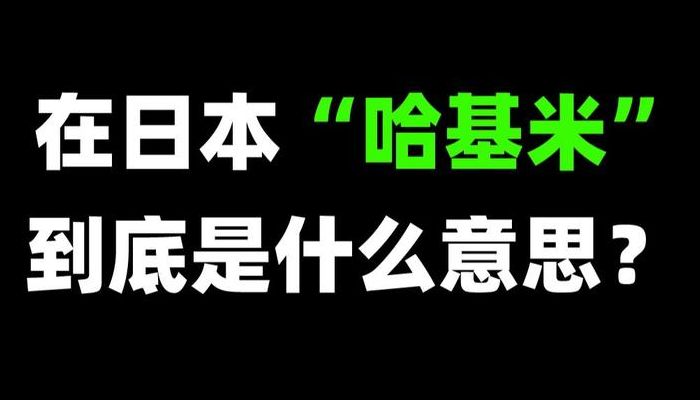 哈基米用来形容什么人（哈基米日语什么意思）