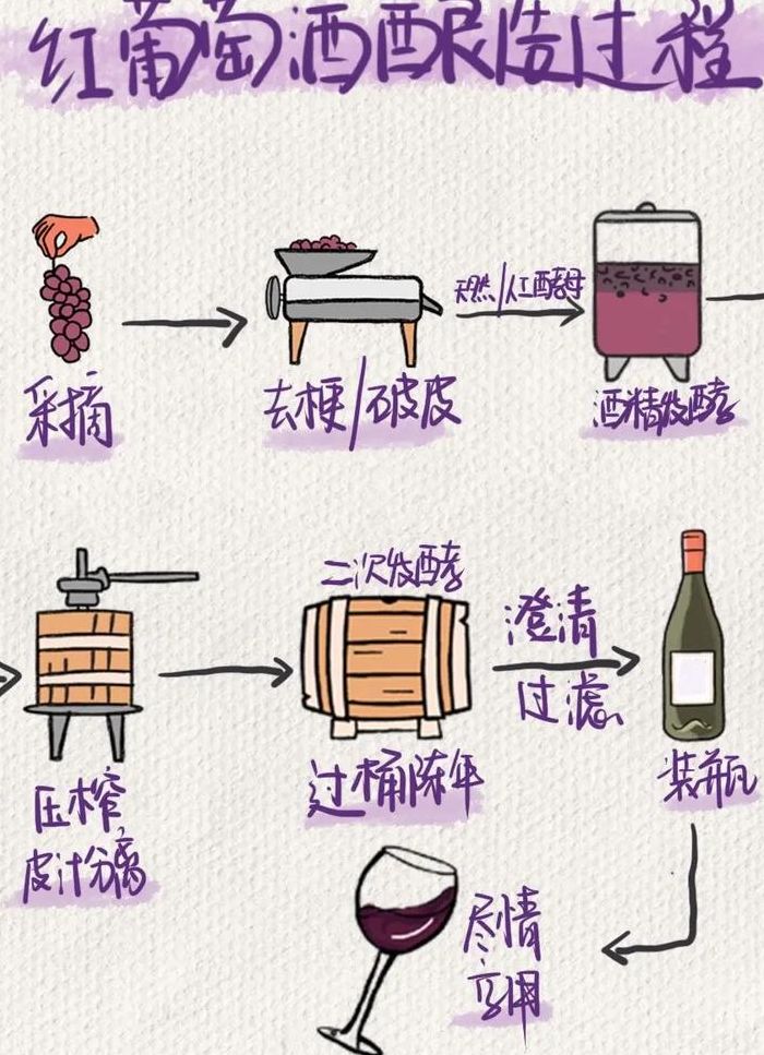 自己怎么酿葡萄酒（葡萄酒的制作方法 自酿）