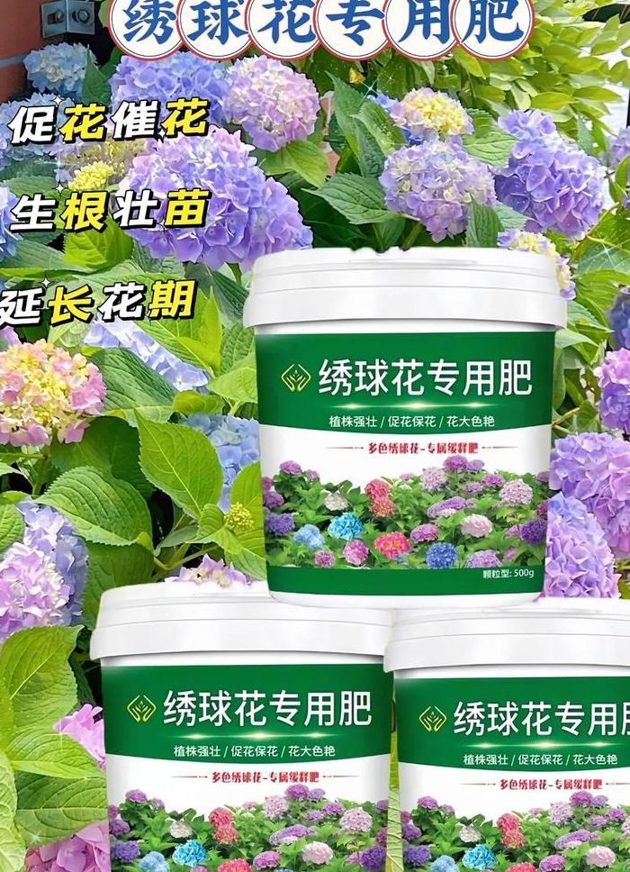 绣球花用什么肥料（绣球花用什么肥料最好）