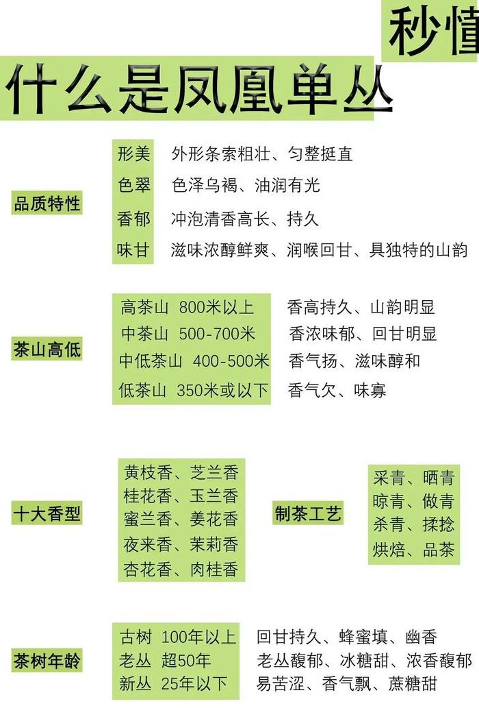 单丛茶是哪里产的（单丛茶哪里产的最正宗）