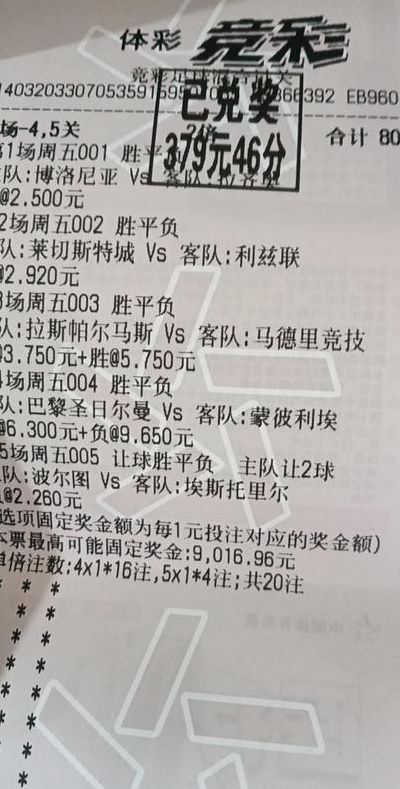 足彩负其他什么意思呀（足彩负其它比分是多少）