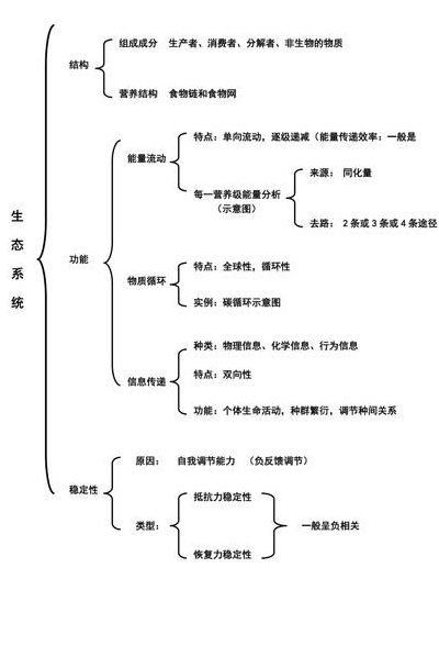 生态系统有什么作用（生态系统有什么作用和功能）