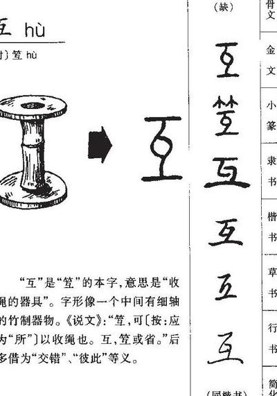 互查什么偏旁（互字查什么偏旁）