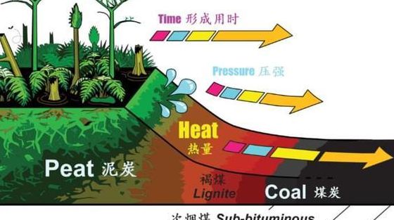 煤变油为什么叫停（煤炭变油）