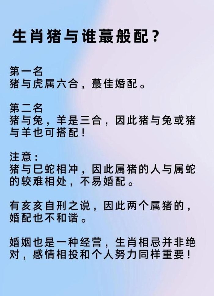 属猪的最佳婚配属相（属猪的最佳婚配属相是什么属相）