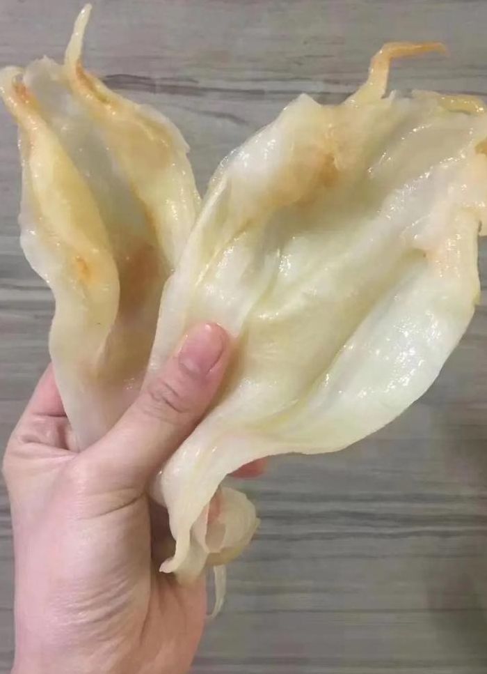 鱼胶粉是什么原料做的（鱼胶粉的作用和用法）