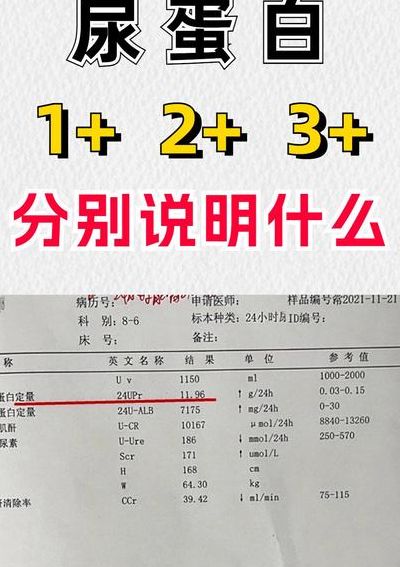 白蛋白低是什么情况（白蛋白低是什么情况属于什么情况）