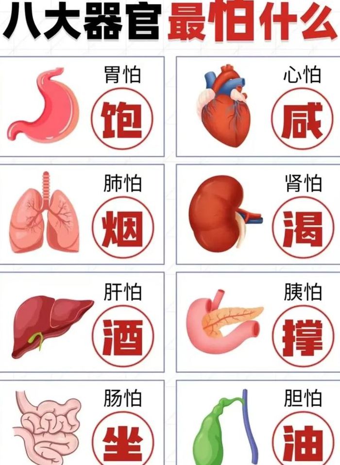 人最怕什么东西（人最怕什么东西?）