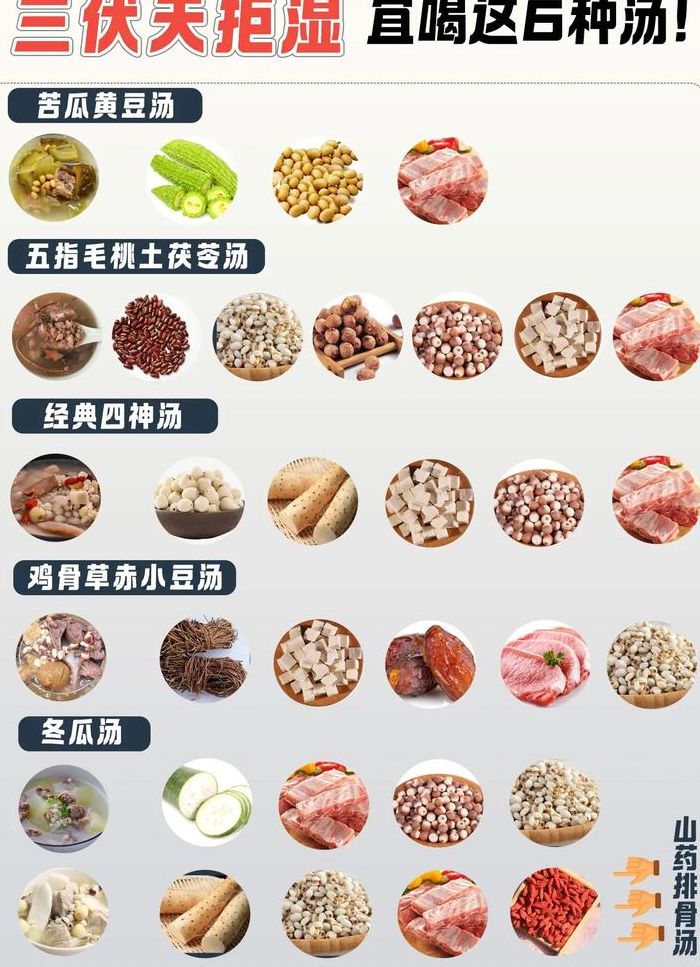 吃什么食物能去湿气最好（吃什么食物可以去湿气?）