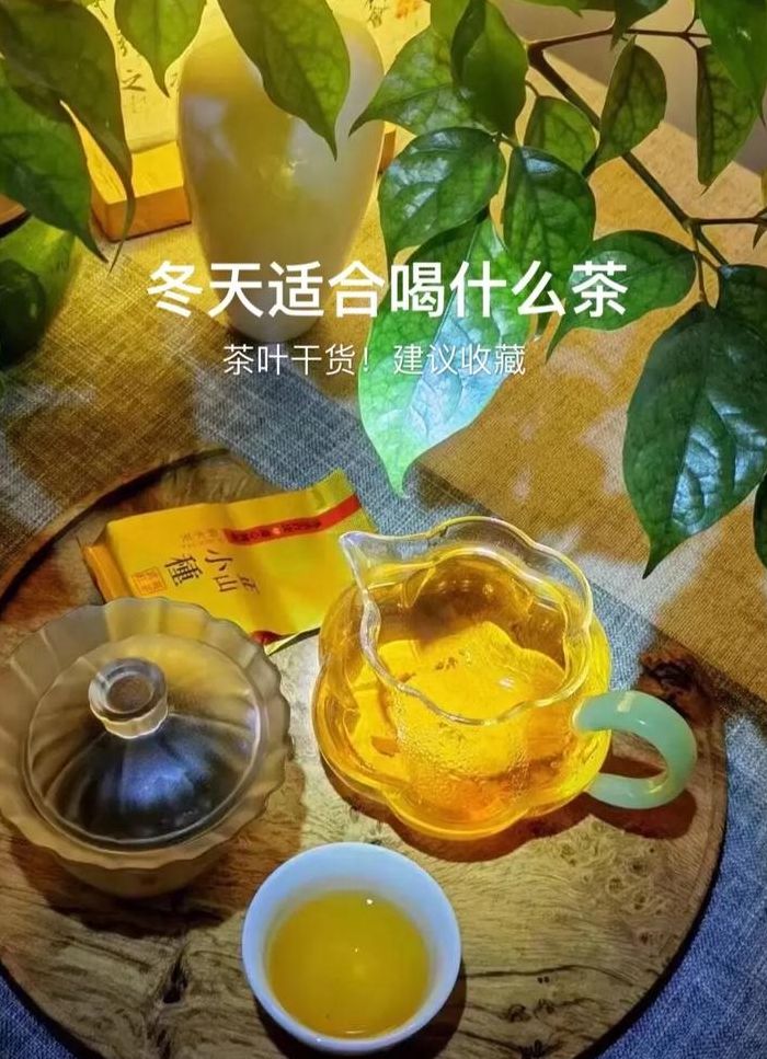 秋冬适合喝什么茶叶（秋冬适合喝什么茶?）