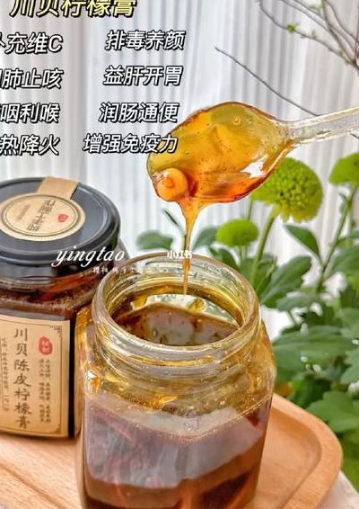 蜂蜜柠檬膏的制作方法（蜂蜜柠檬膏的做法与功效）