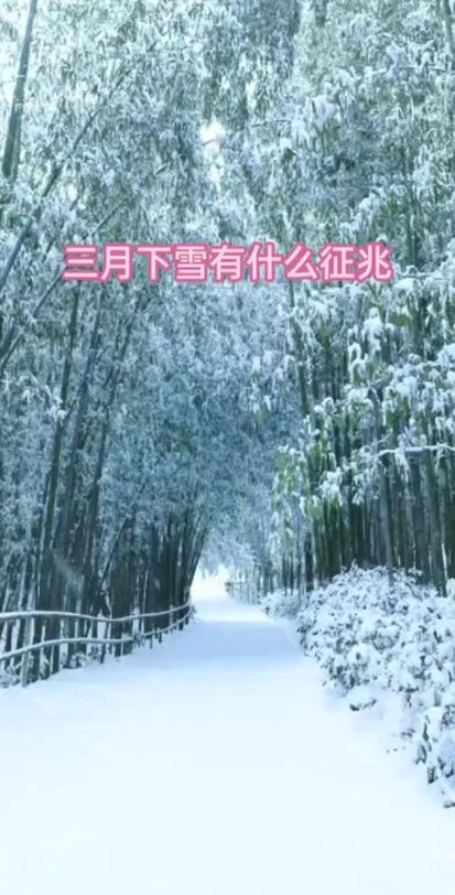 三月下雪预示什么（三月下雪预示什么预兆）