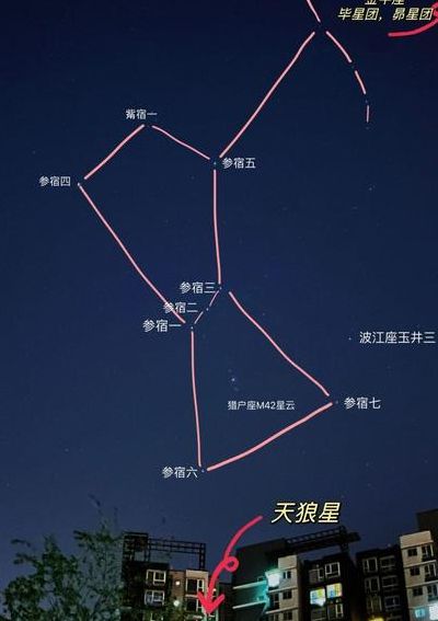 猎户座一等星（猎户座多少颗星）