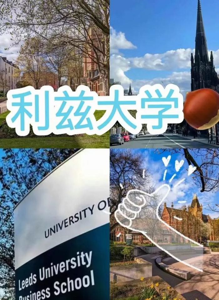 利兹城市大学（利兹城市大学是利兹大学吗）