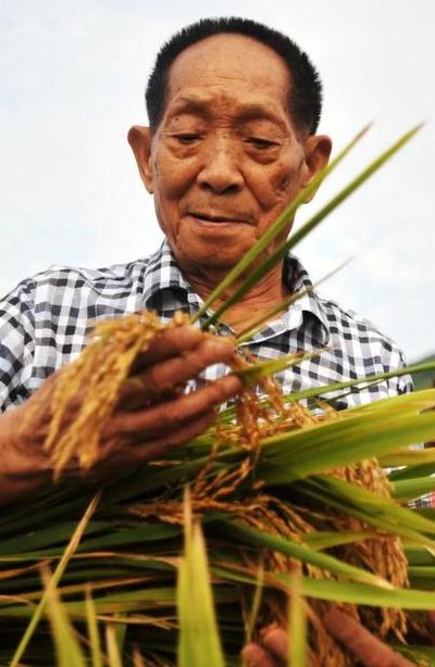 袁隆平国葬（袁隆平国葬）