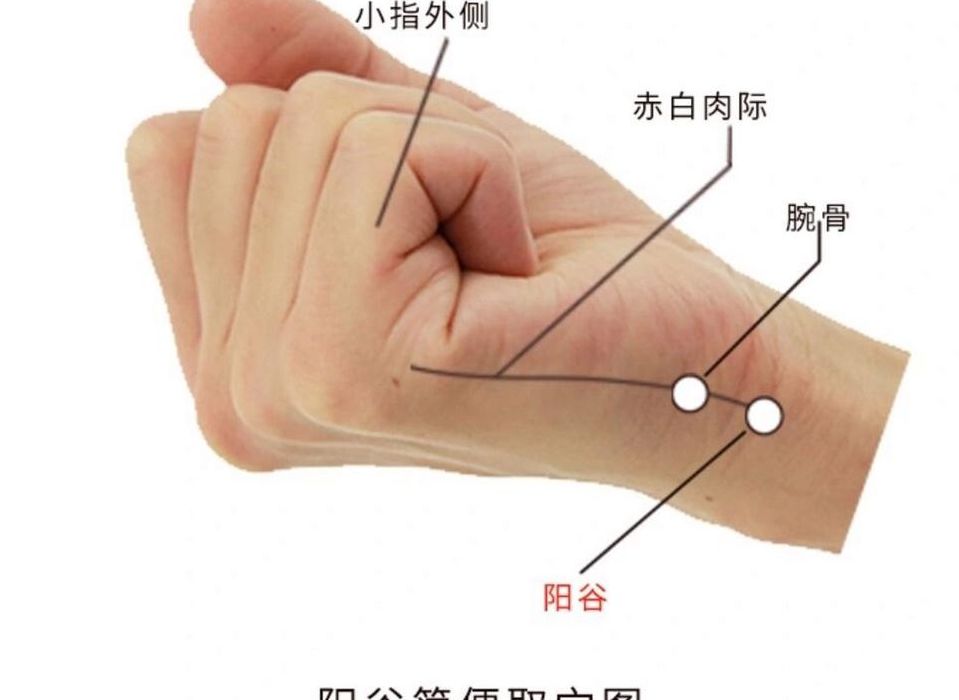 阳谷穴的准确位置图（阳谷的准确位置图片）