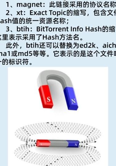 磁力链接前缀（磁力前缀怎么使用）