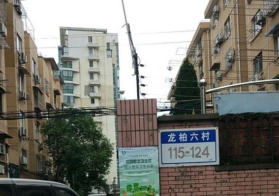 龙柏六村（龙柏六村属于哪个街道）