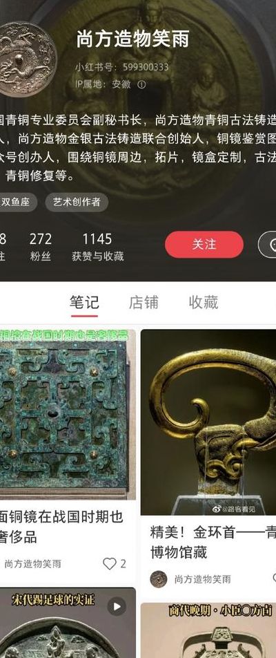 网络青铜是什么意思（青铜 网络）