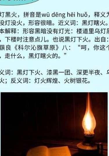 黑灯瞎火打一个生肖（黑灯瞎火打一生肖谜底是）