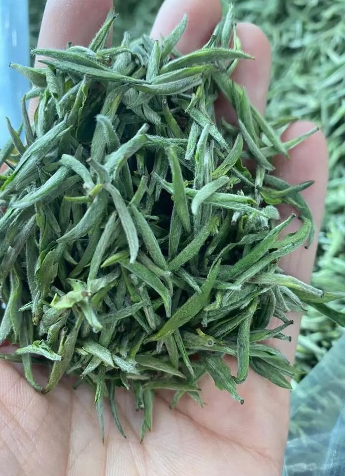 舒城小兰花（古尖香茶舒城小兰花）