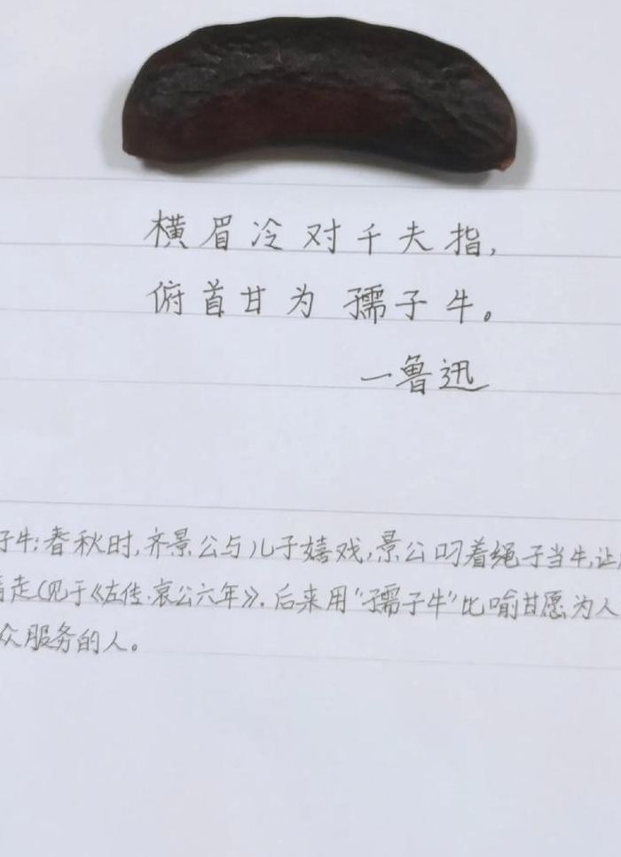 孺子牛比喻什么样的人（孺子牛比喻什么样的人或动物）