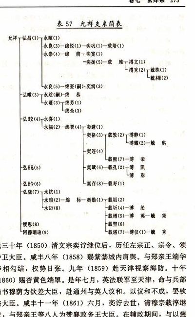 爱新觉罗族谱（清朝爱新觉罗族谱）