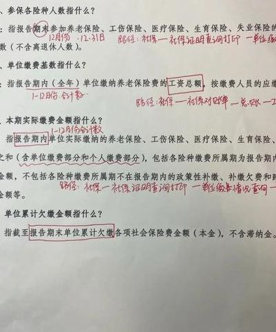 年审和年检有什么区别（年检年报是什么意思）