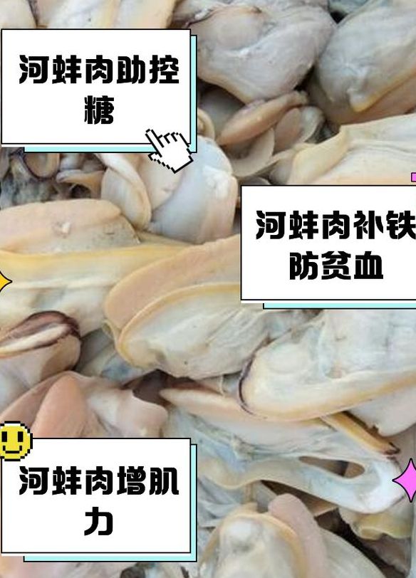 河蚌怎么吃肉才不老（河蚌怎么食用）