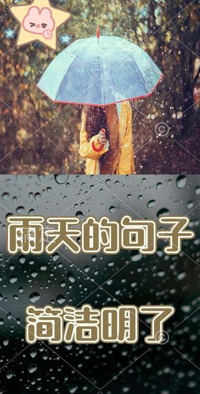 下雨的心情的经典句子（关于下雨的心情说说大全!）