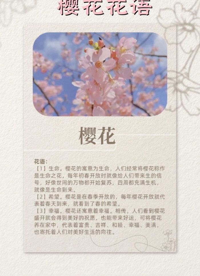 樱花的意思（樱花的意思是）