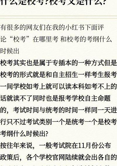 校考是什么意思（校考是什么意思适合哪些人报考）