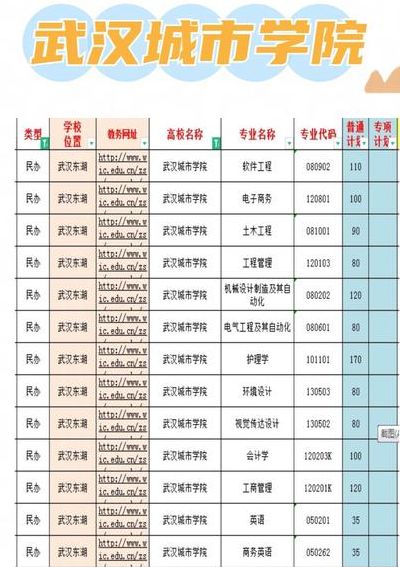 武汉城市学院（武汉城市学院课表查询）