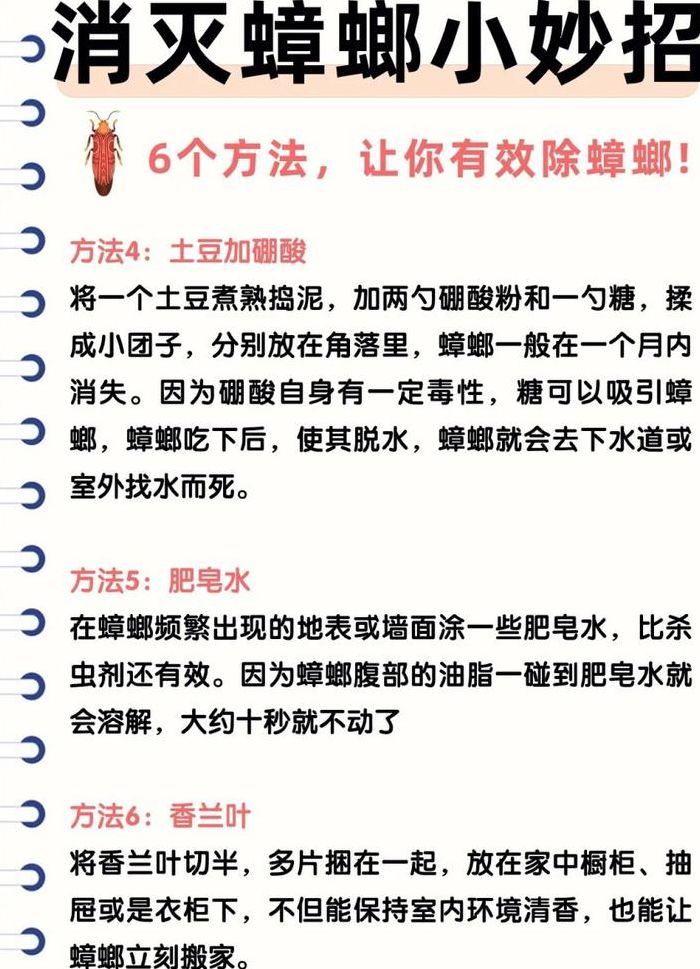 去除蟑螂的小妙招（去除蟑螂的有效方法）