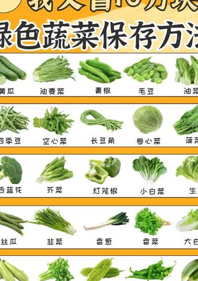 所有青菜的名字大全（所有青菜的名字大全集）