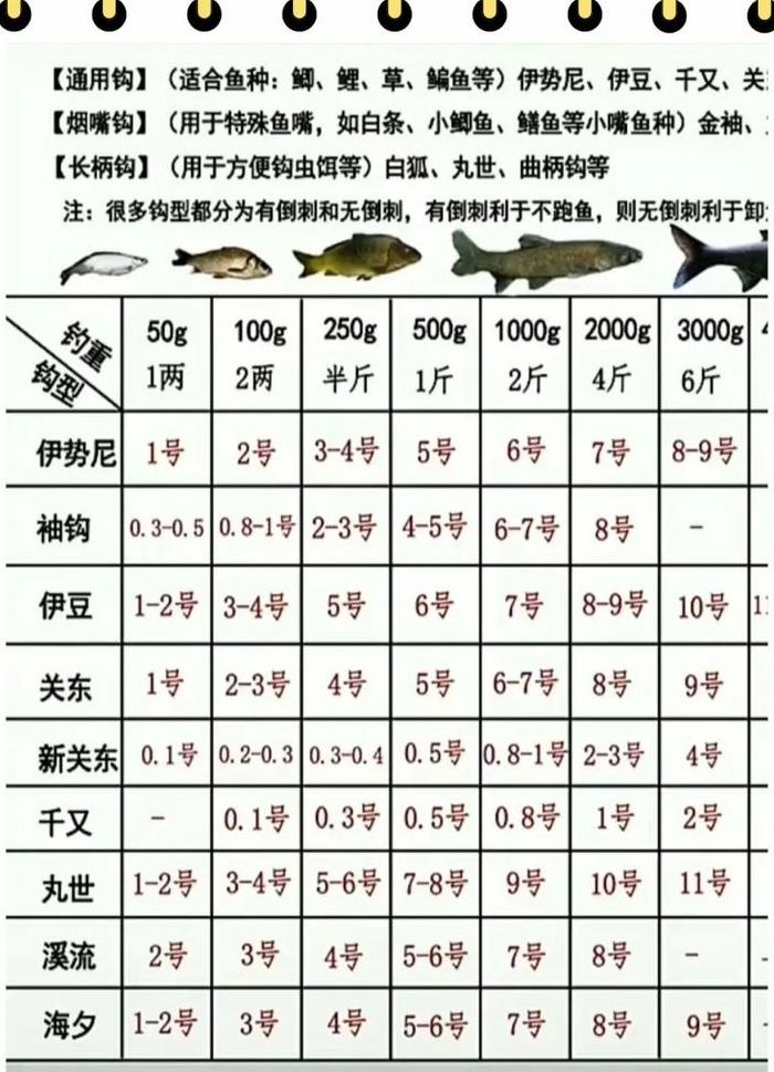 鱼钩型号大小选择（鱼钩型号对照）