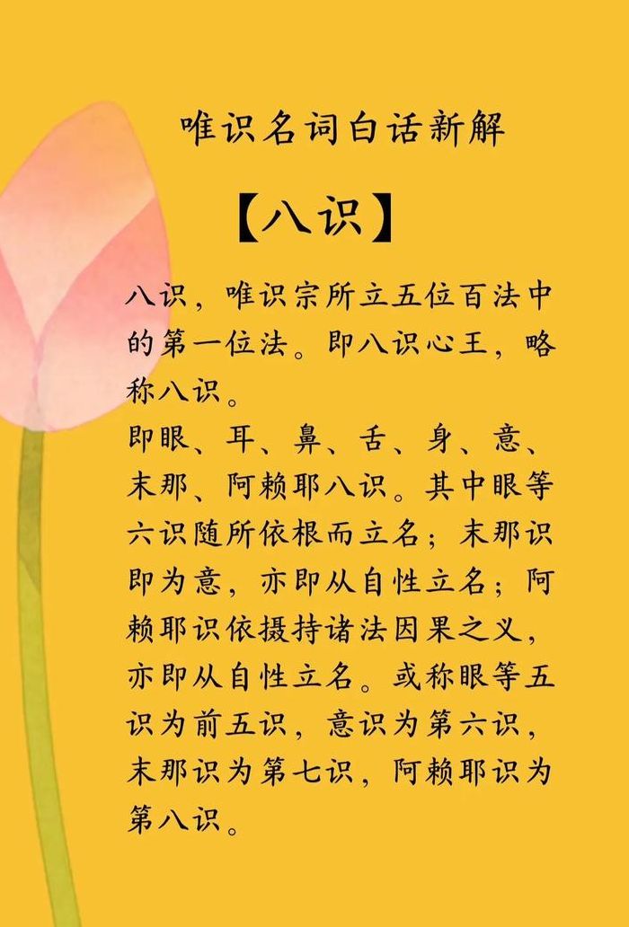 佛教八识中的第八识是什么（佛教八识中的第八识是哪个）