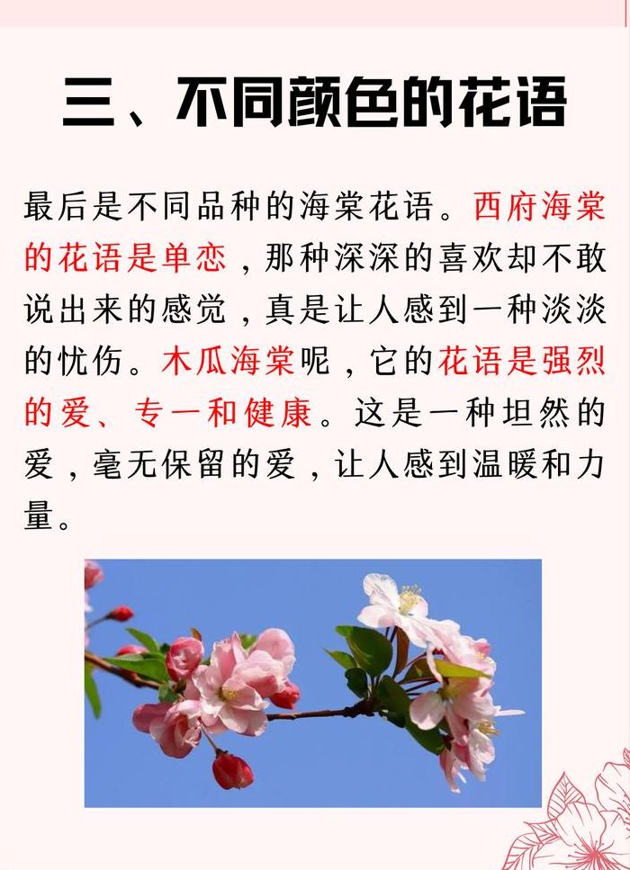 海棠花寓意（海棠花寓意着什么象征着什么）