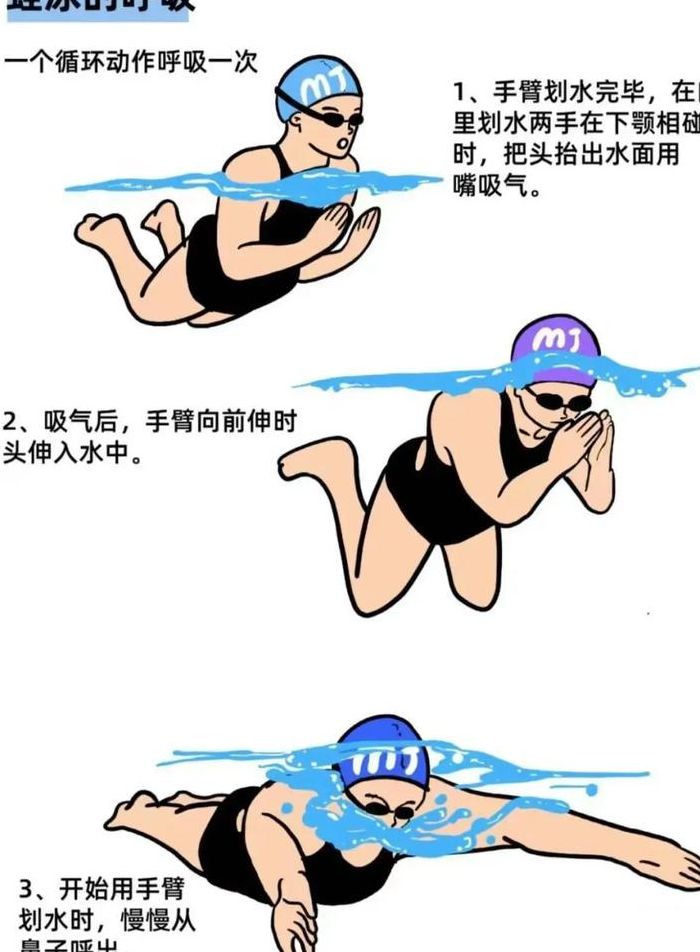 蛙泳怎么换气图解（蛙泳怎么换气图解视频）